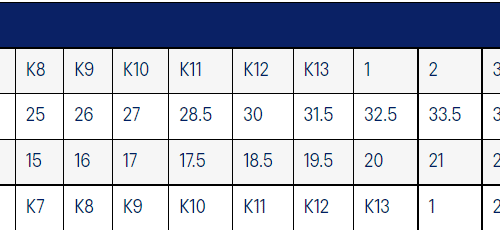 ASICS KIDS SHOE SIZE CHART 1867f0cb fac8 49bb 8567 22463199d370